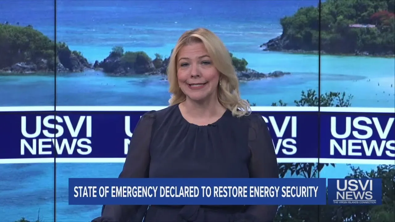 State of Emergency Declared to Restore Energy Security