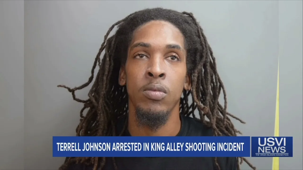 Terrell Johnson Arrested in King Alley Shooting Incident